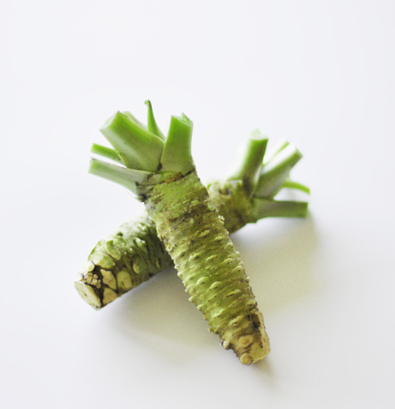 Fresh Wasabi / Wasabi Japonica / AgroDirect