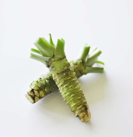 Echter Wasabi / Real Wasabi / Fresh Wasabi